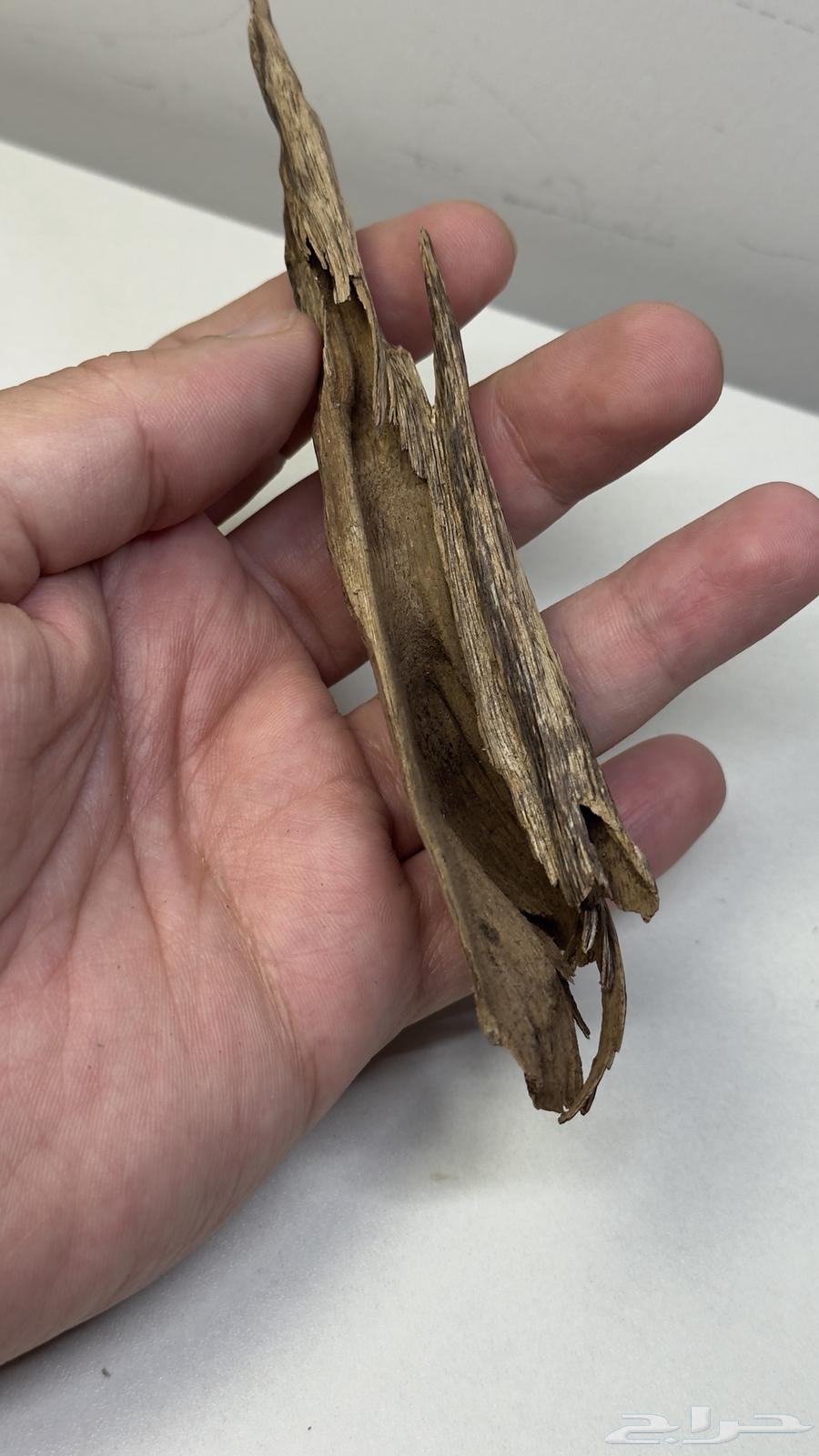 عود هندي طبيعي 10064419331954946114