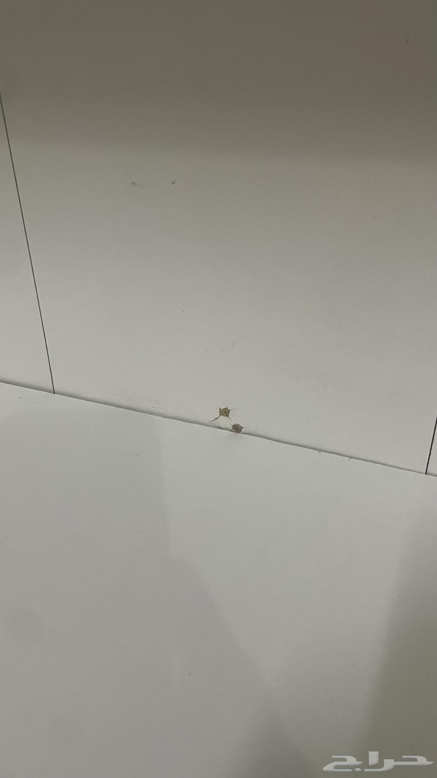 رفوف ايكيا64419564215554112