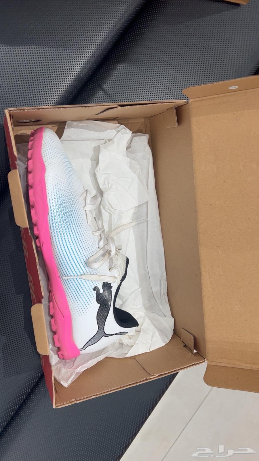 حذاء بومة اصلي64424692837123110