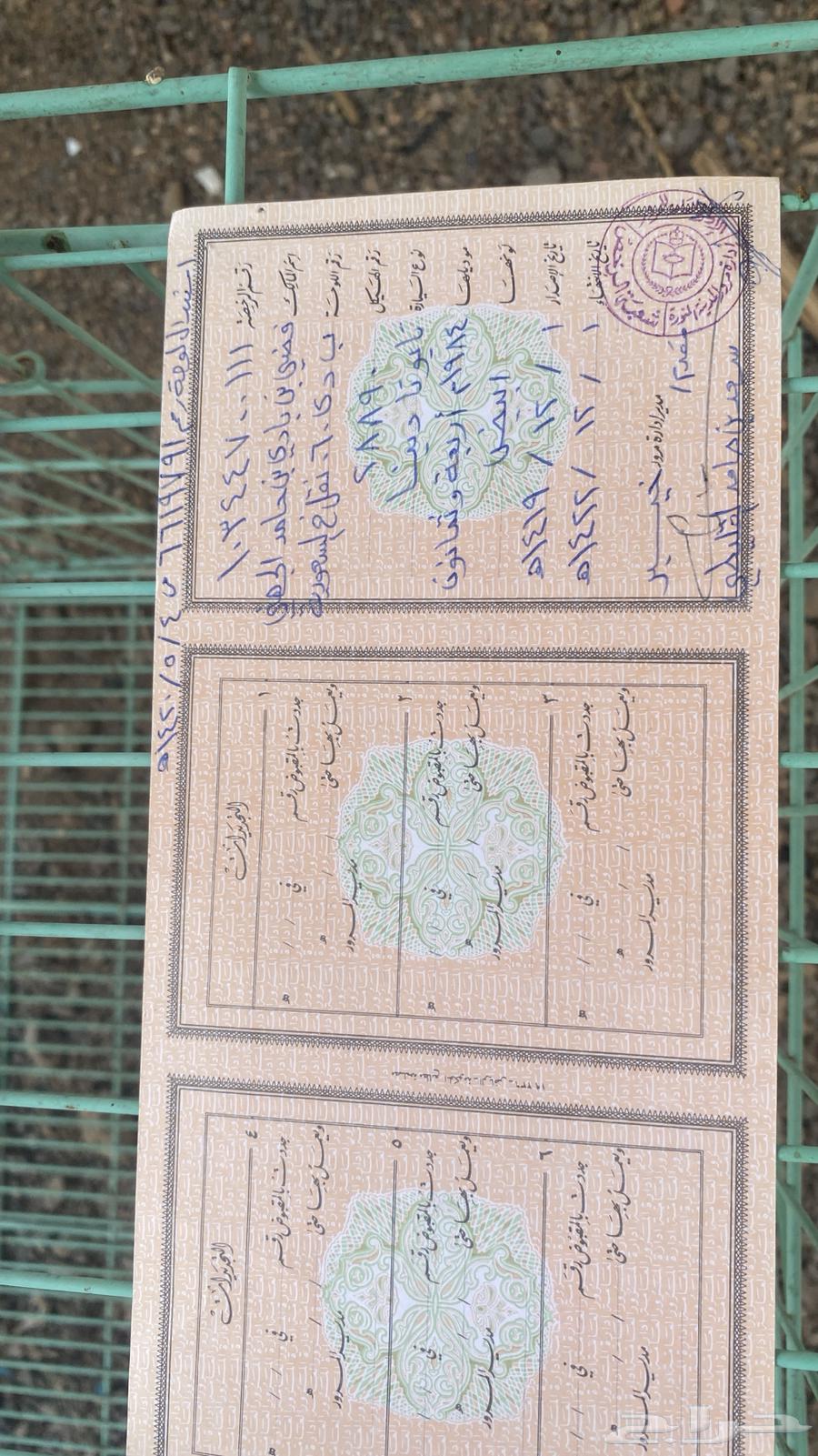 Board with D 6 0 transfer64582341712385111