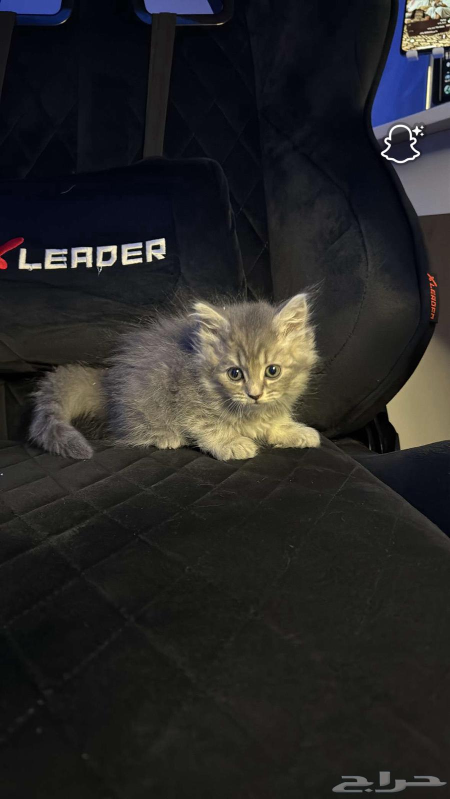 سكوتش ستريت بلو (تم البيع)64424105831939112