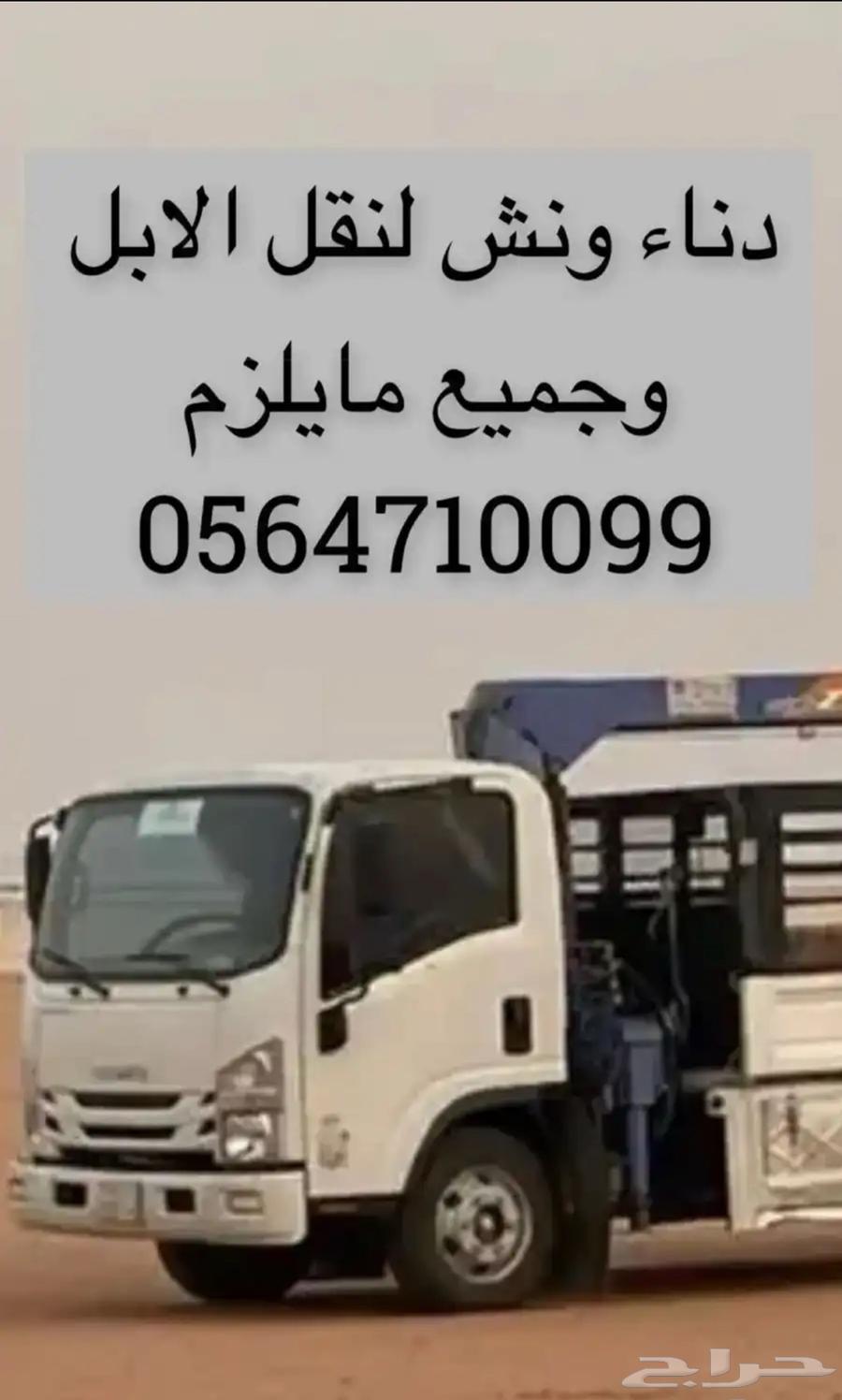 دناء لنقل الابل64440383581827110