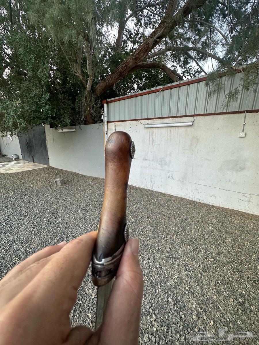 جنبيه زراف للبيع64425892303107113