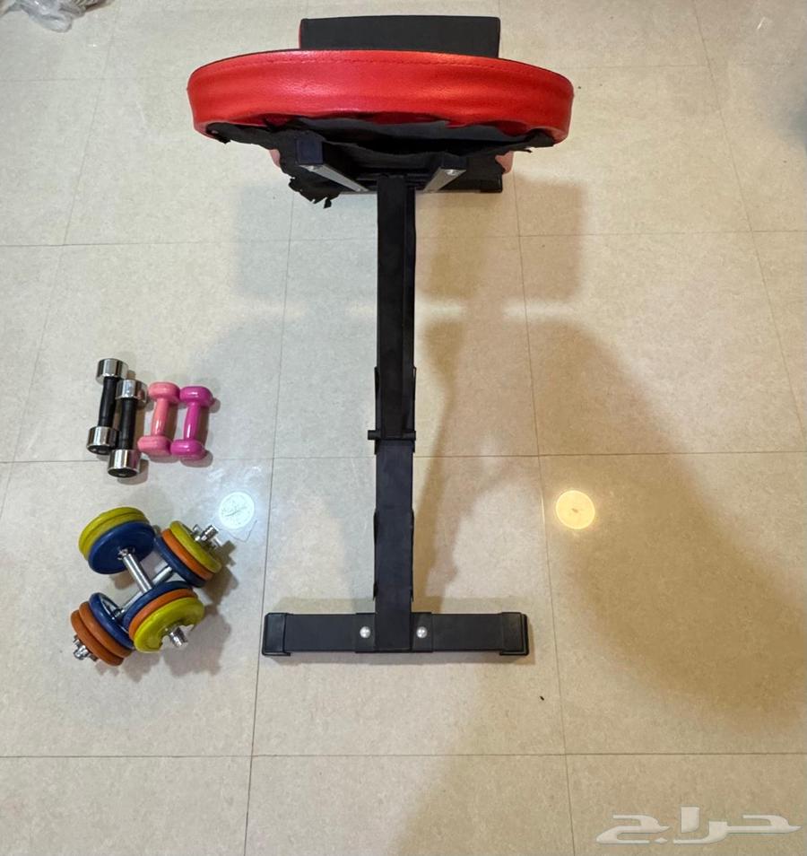 Weights and Exercise Bench for Sale64424882788610110