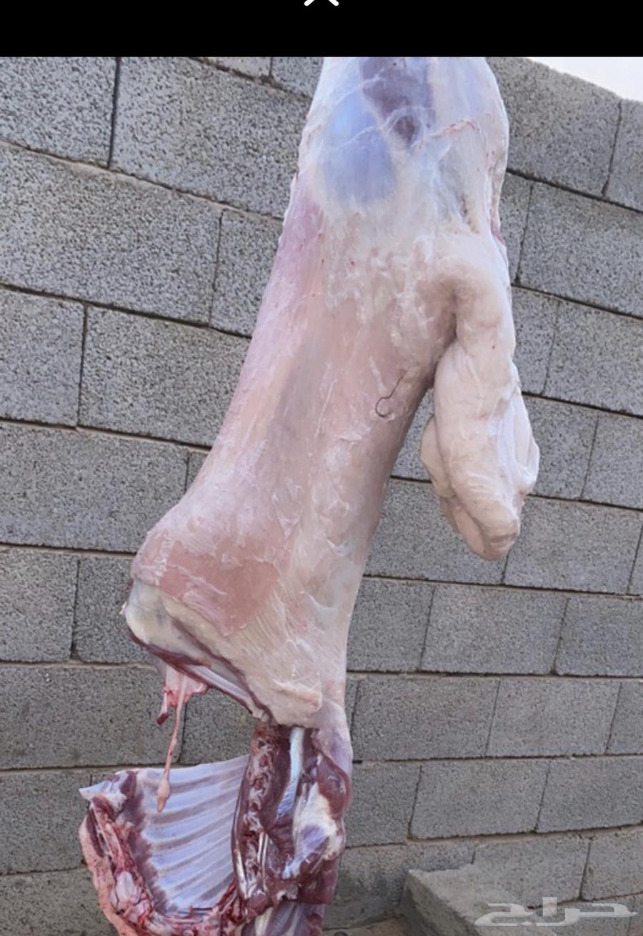 Al-Qassim Slaughters64422380916482111