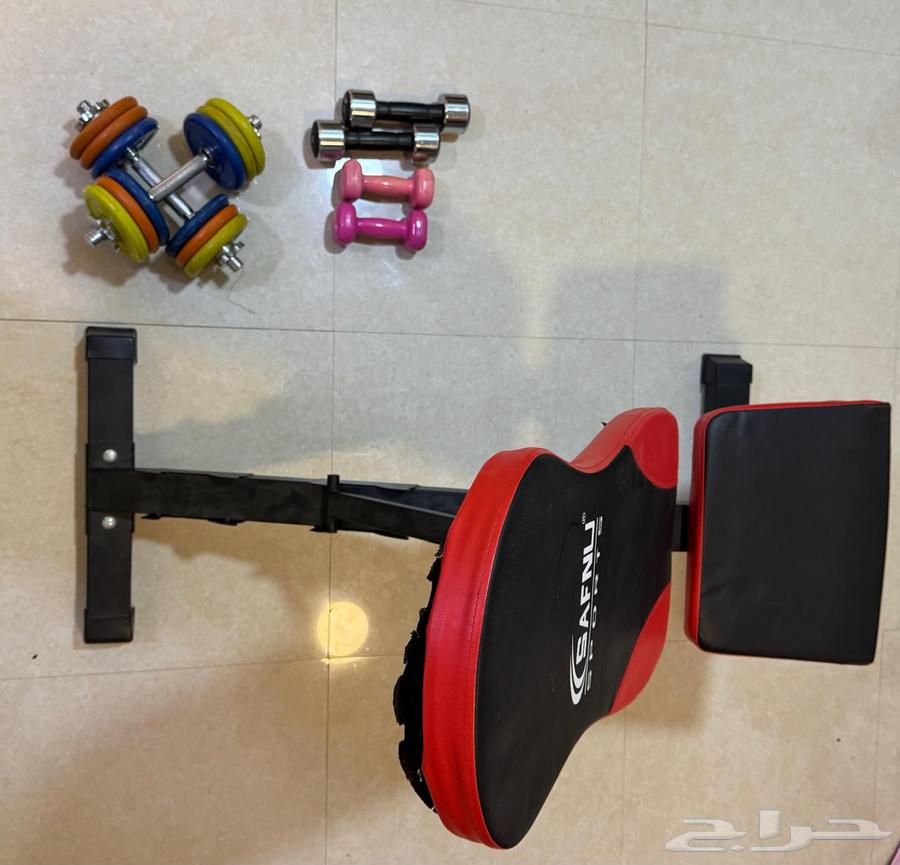 Weights and Exercise Bench for Sale64424882788610111