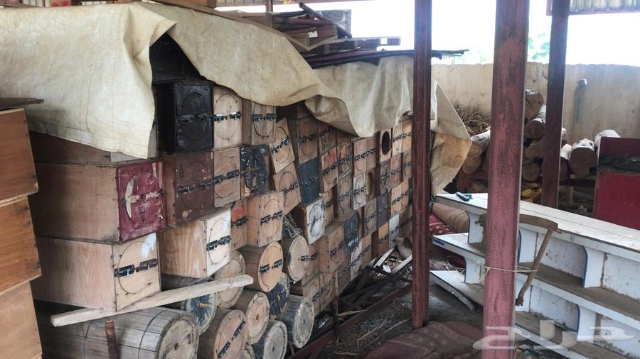 نحل للبيع64421879289475113