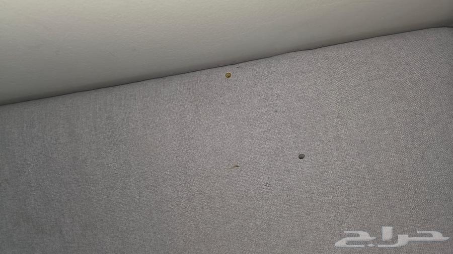 كنب رمادي خشب وطني64421269496578113