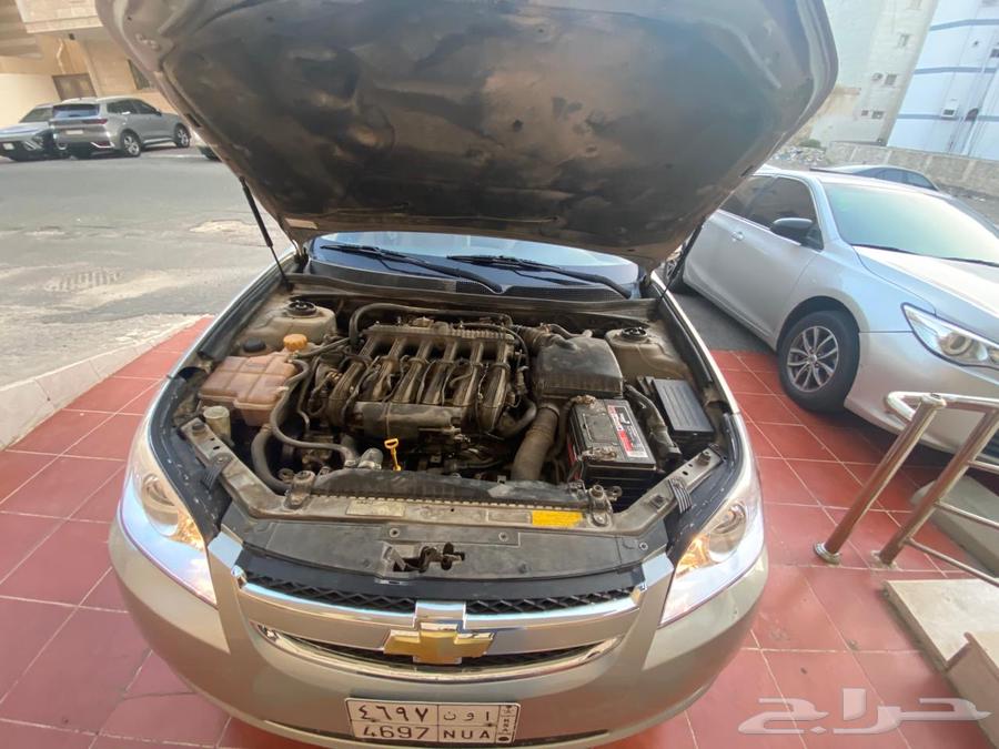 ايبيكا64585224635906111