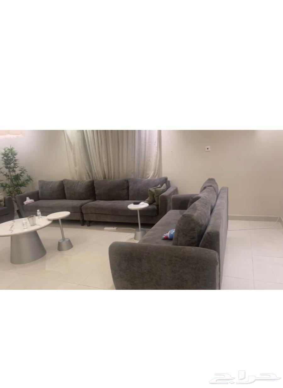 كنب للبيع معا طاوله وبحاله جيده64425165660547111