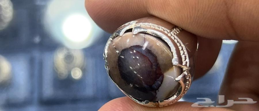 حجر سليماني من النوادر64425717600769112
