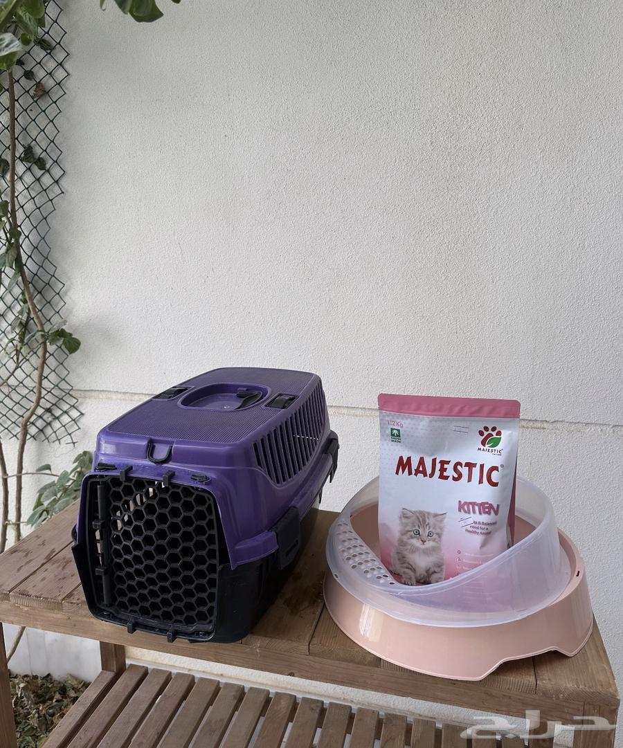 باكيج قطط كامل (قفص  لتر بوكس  اكل جديد)64421080493186110