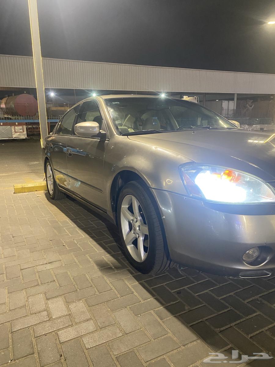 التيما للبيع مع اللوحات.64586401472513113