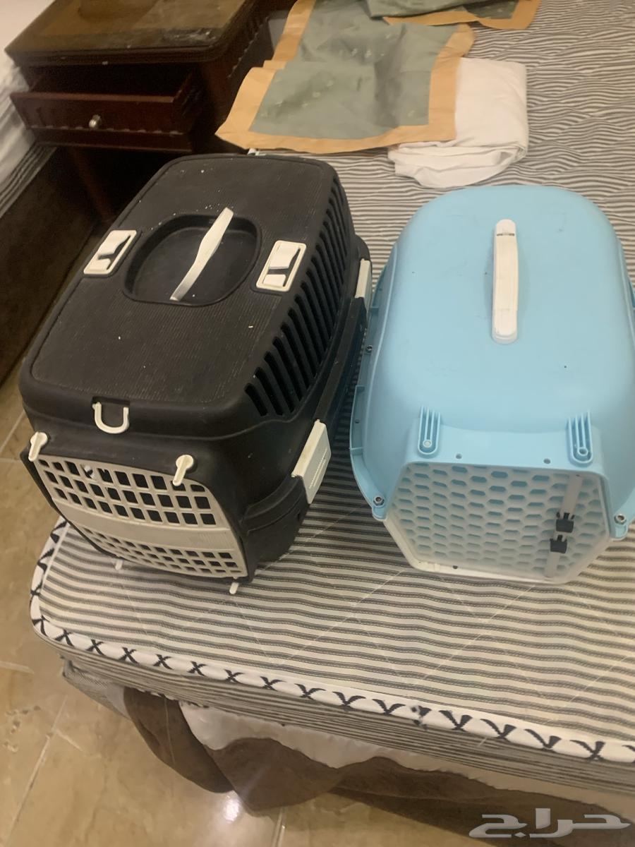 2 بوكس قطط64420418285058110