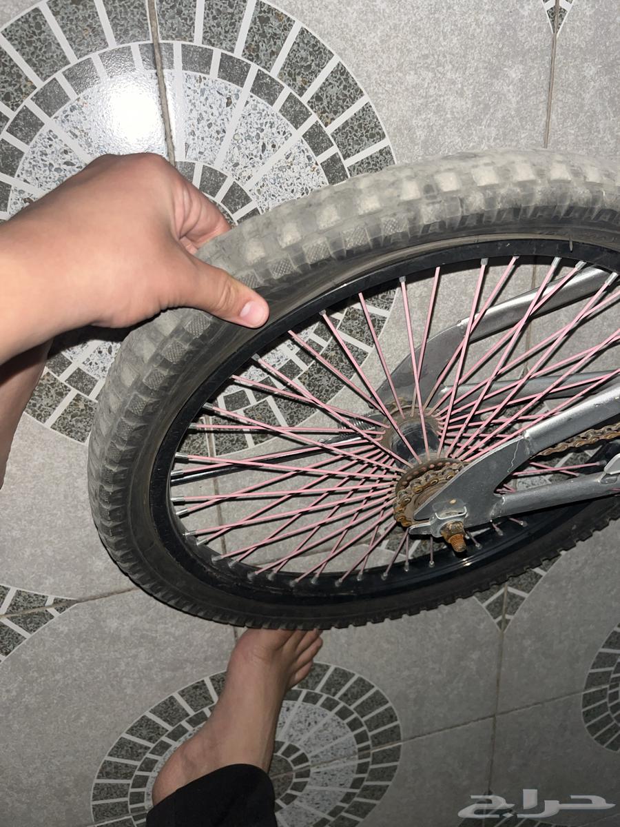 Cobra bicycle size 24, the rear tire is punctured but still usable64424692863107111