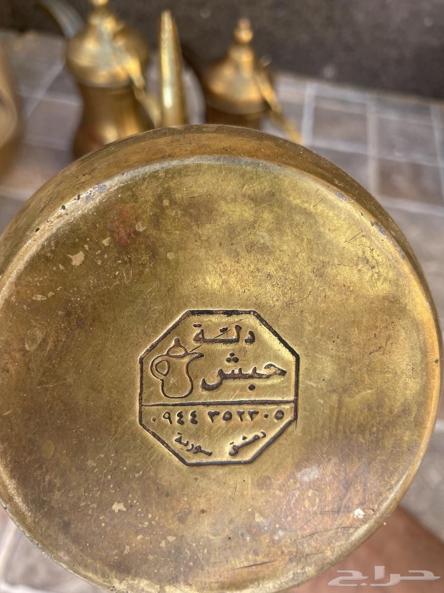 دلال ( حبش ) سوريه على السوم64424950276355111