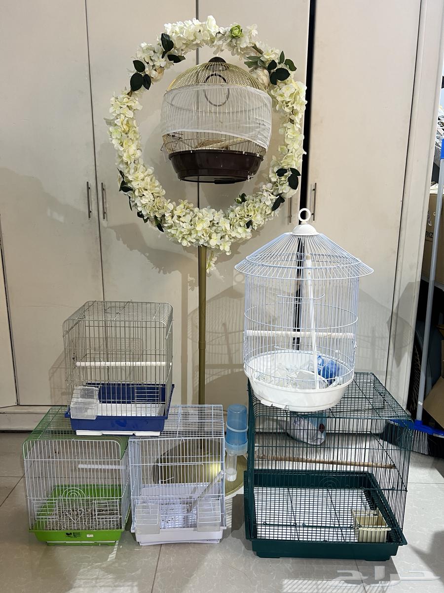 Bird cages used in different sizes, wholesale sale64422944319106110