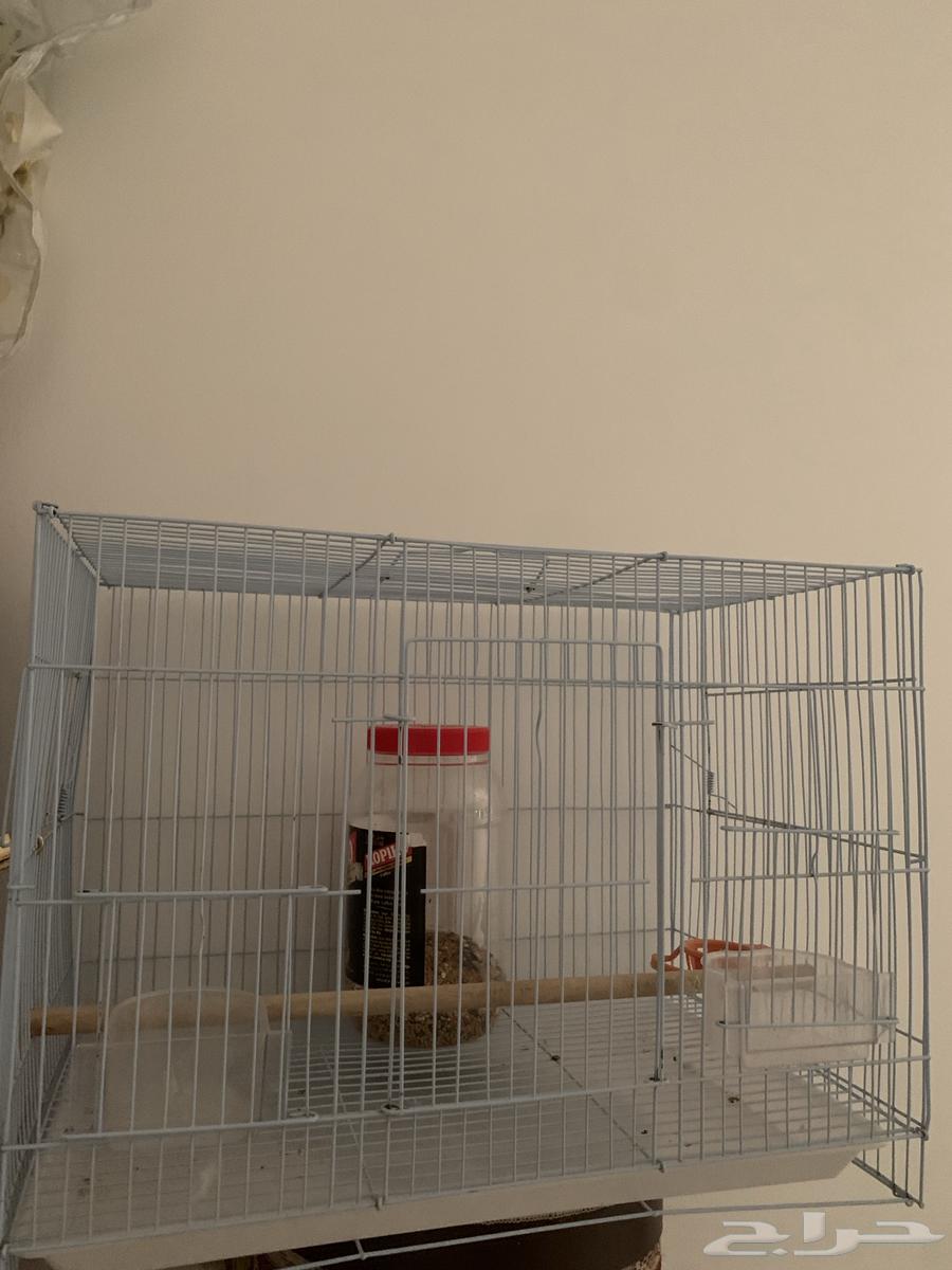 قفص للكروان64422832449538111