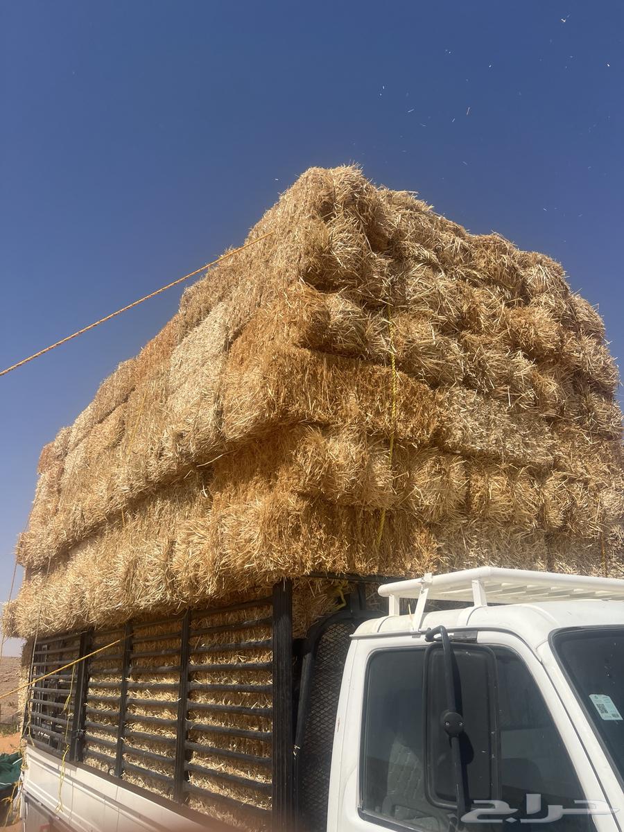 تبن بر64421418649985112