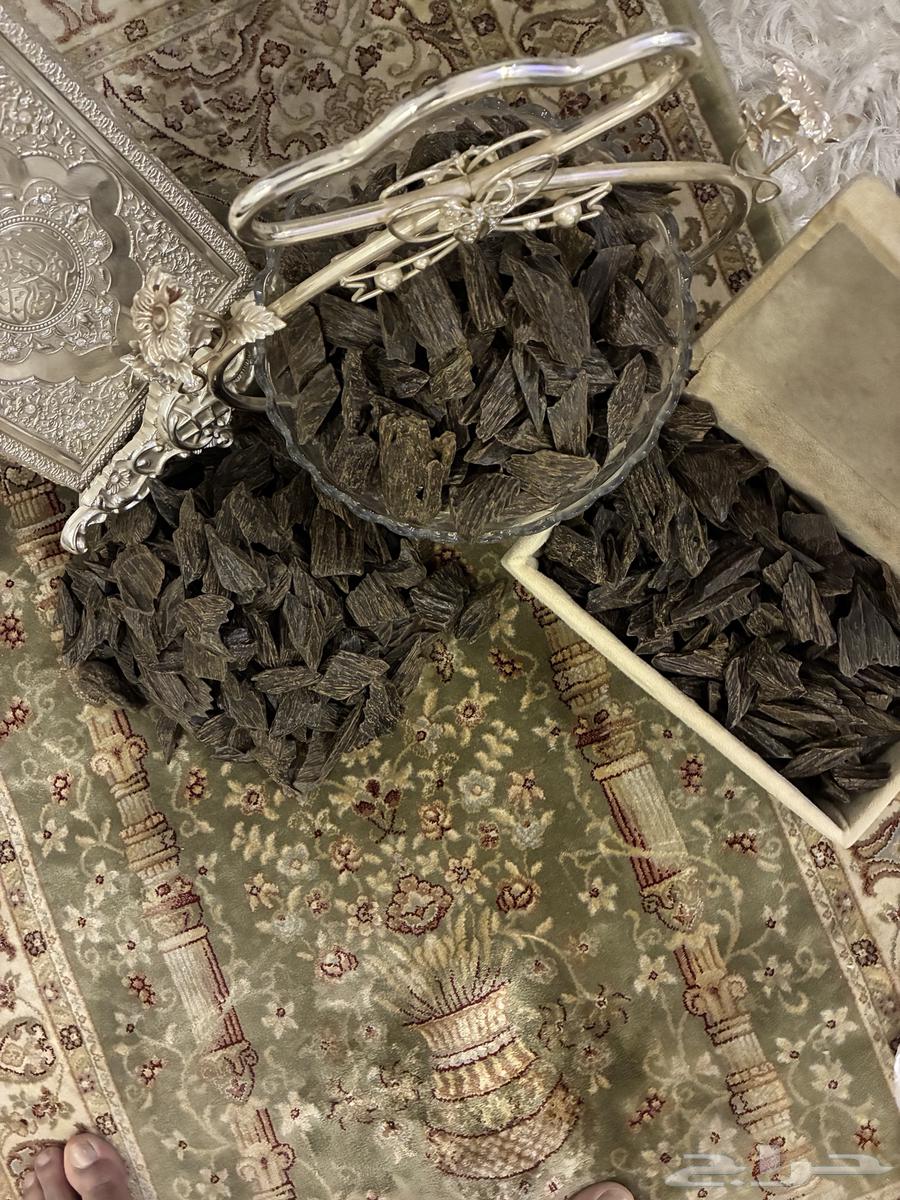 Clement Mohsin Incense Filter - Only 70 SAR per Ounce64423877688705114