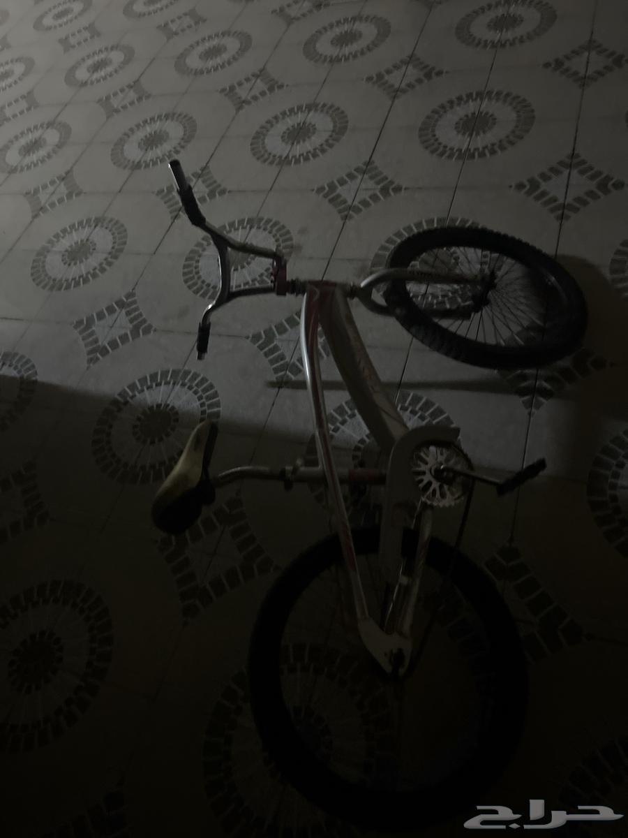 Cobra bicycle size 24, the rear tire is punctured but still usable64424692863107112