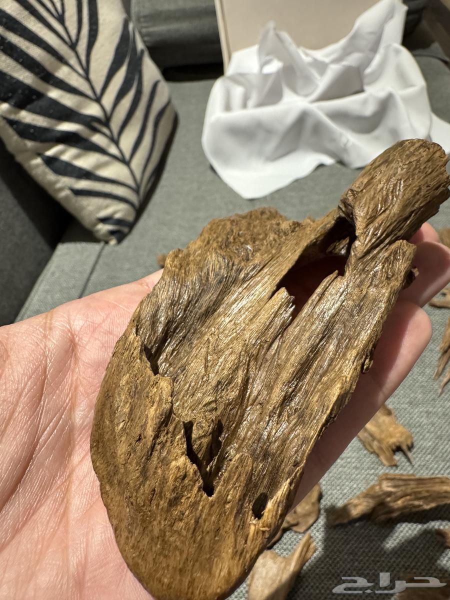 عود كلمنتان مالينو نوادر قديم جدا (السعر صيده) - تم البيع64425999461249112