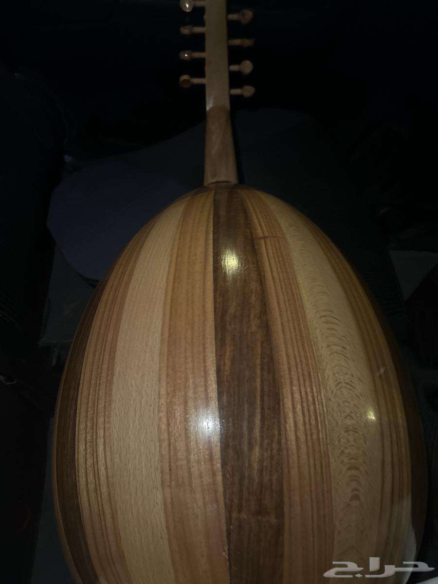 عود مصري نضيف64425259762562111