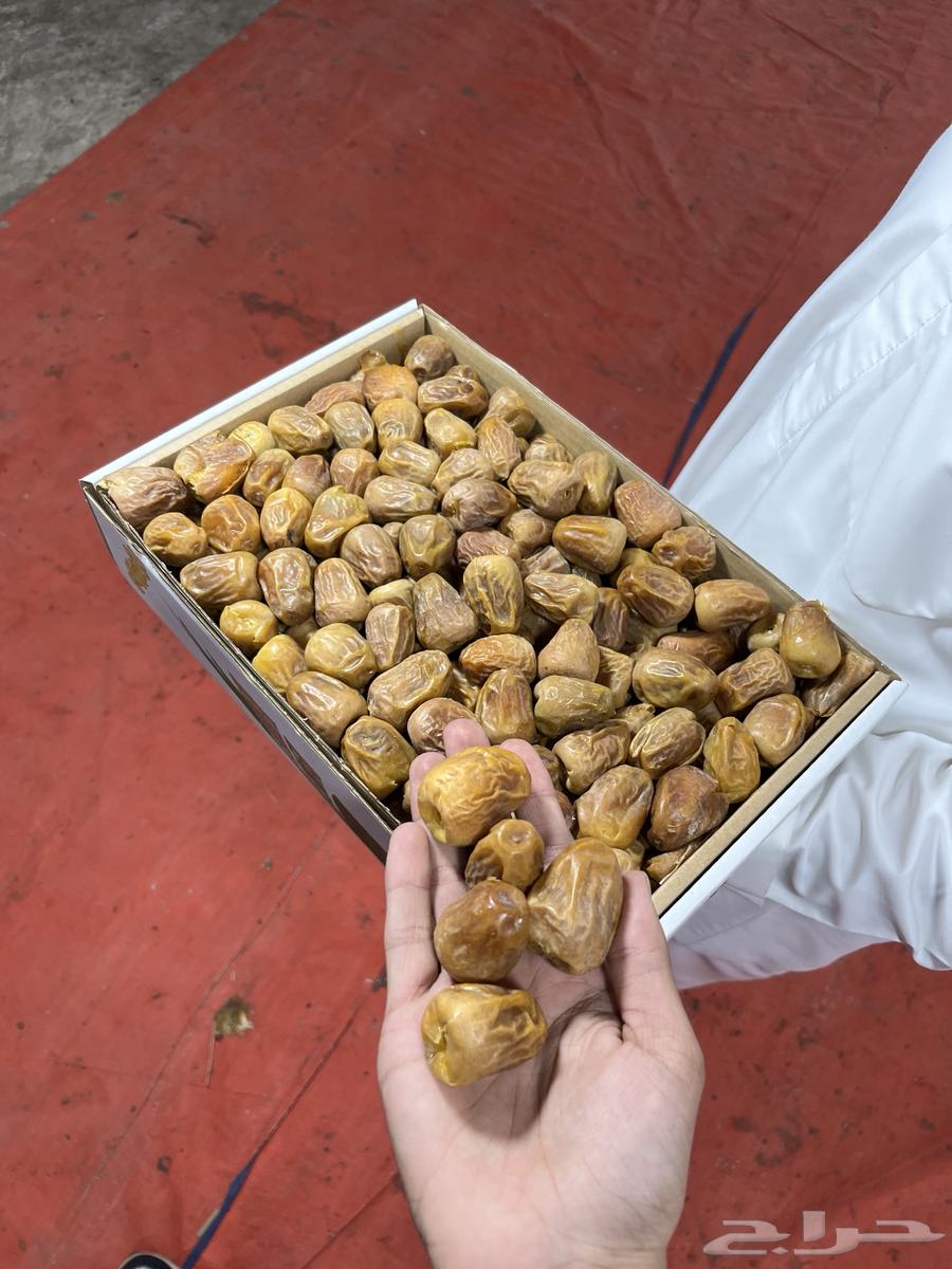 Number 1 premium quality soft date64425205975298110