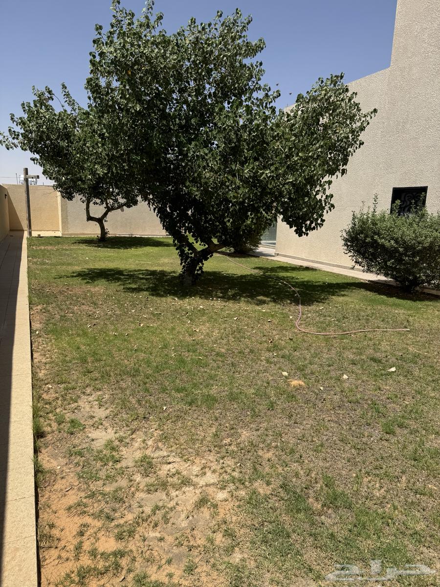 شاليه بالقاع البارد للإيجار اليومي64419770815618114