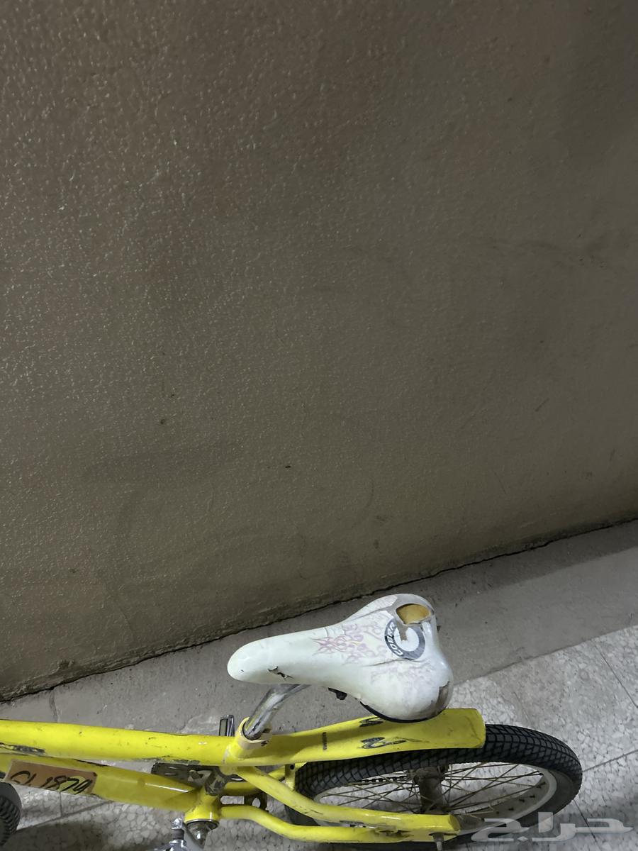 Yellow Cobra bicycle64424549082241111