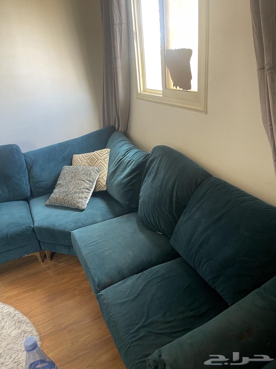 كنب زاوية مستعمل من اودي سعر الشراء 3000 على السوم64423292354306111