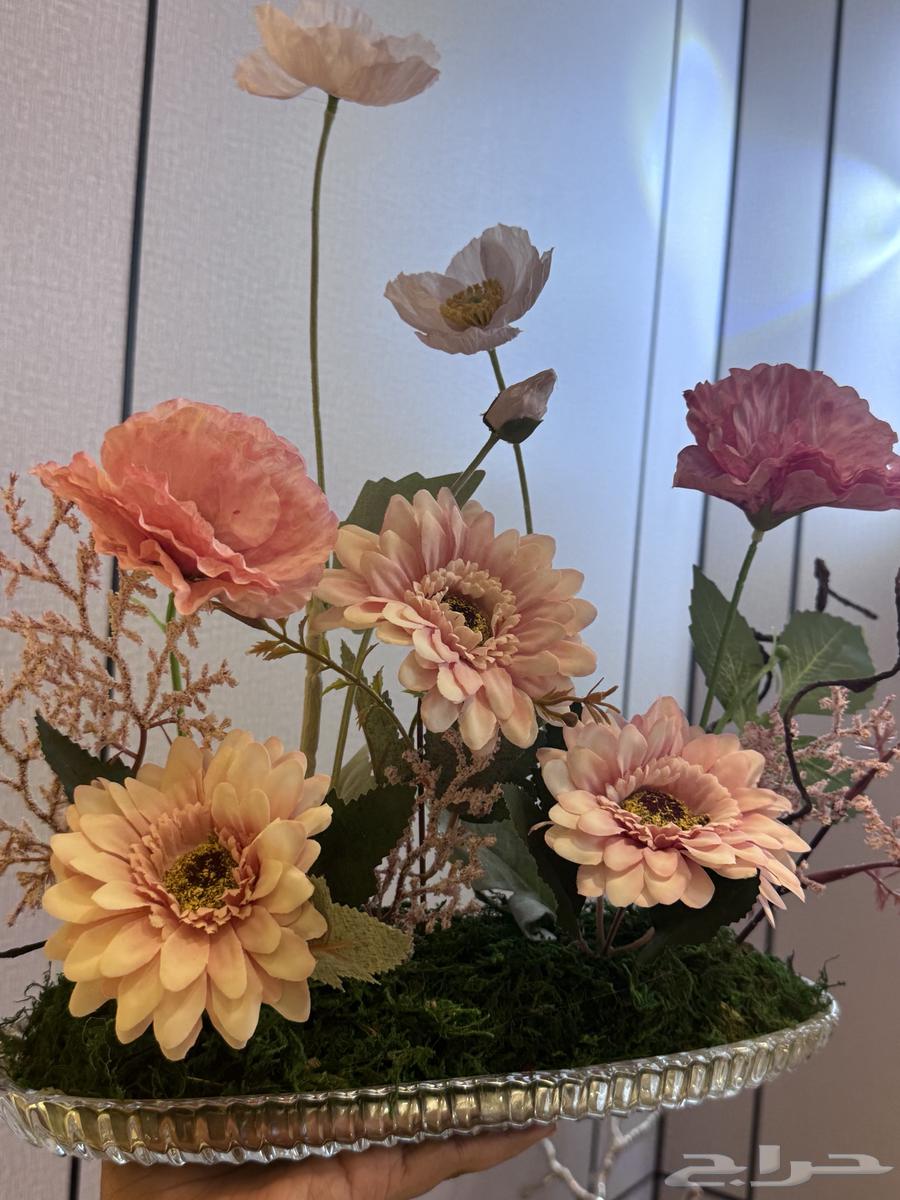 ستاند ورد  شبكه   مواليد حفلات تخرج64419278537985110