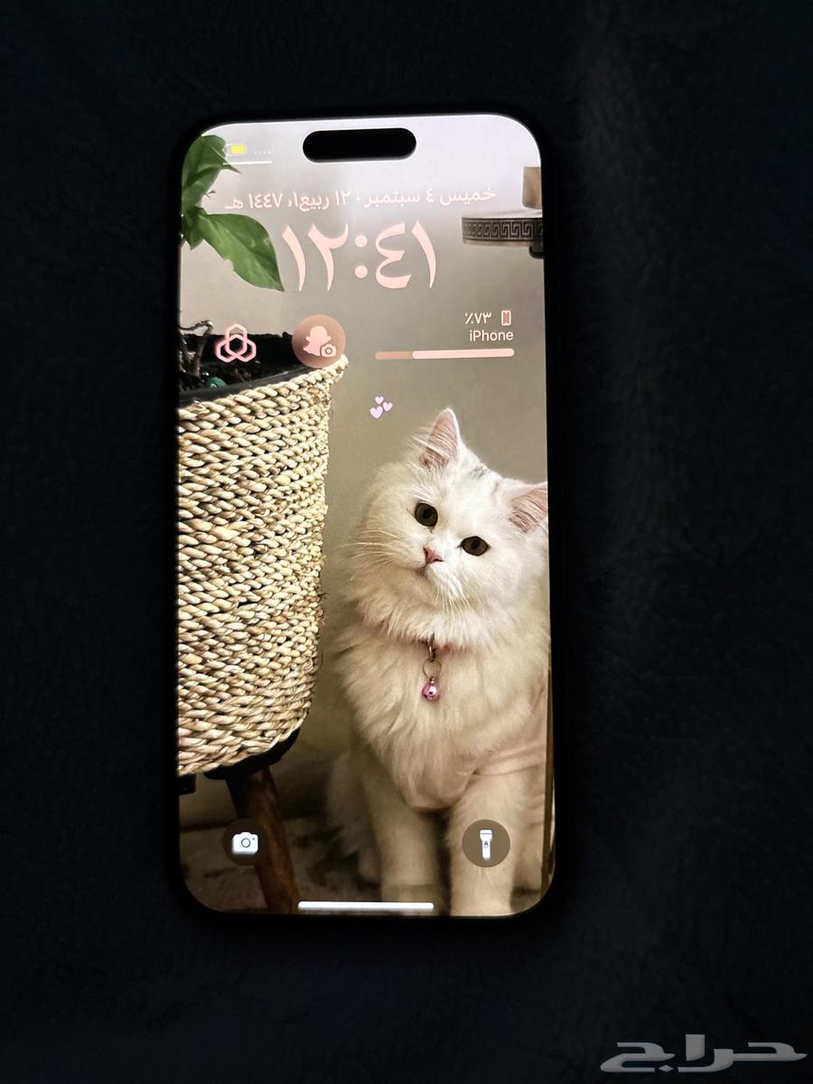 جوالات ايفون 1664419426317955110