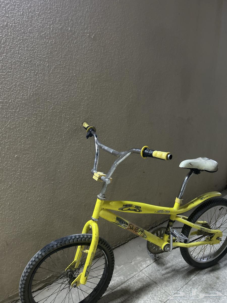 Yellow Cobra bicycle64424549082241110