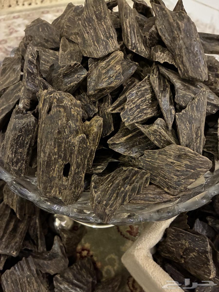 Clement Mohsin Incense Filter - Only 70 SAR per Ounce64423877688705113