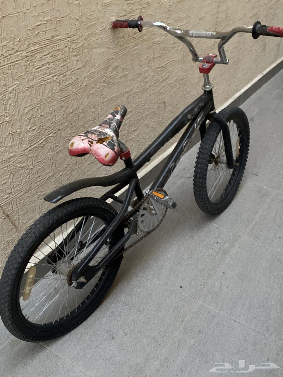 Hello, Cobra bicycle black color size 20 bicycle64424172593282111