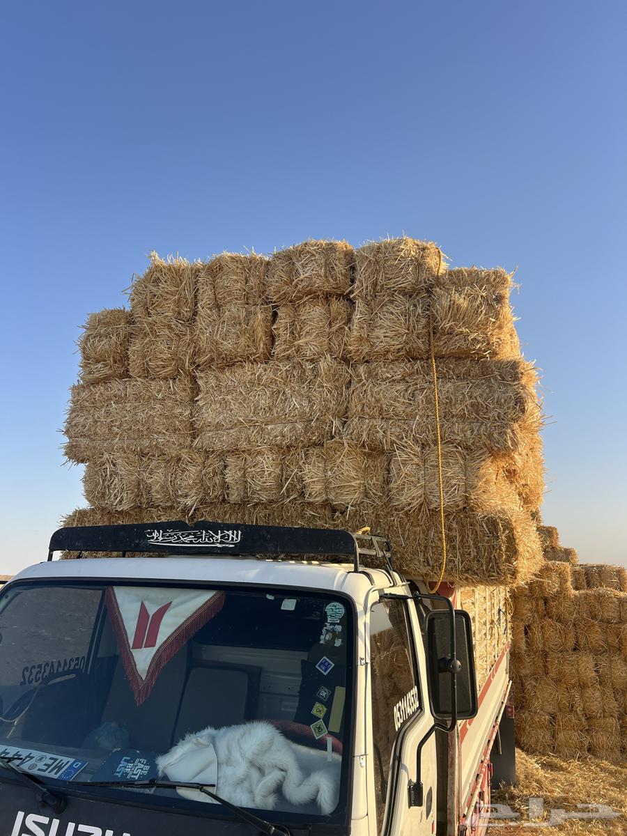 تبن بر صافي ناعم64419278513282111