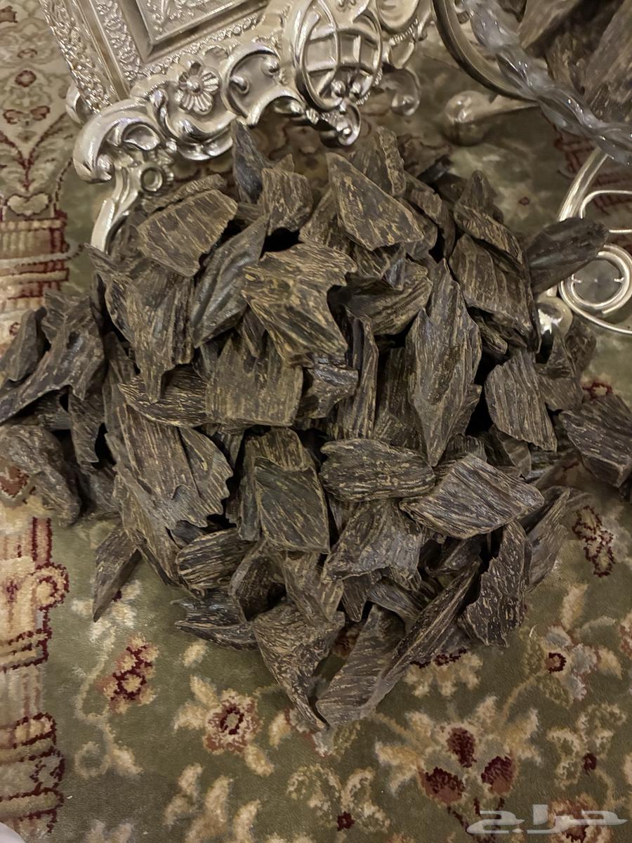 Clement Mohsin Incense Filter - Only 70 SAR per Ounce64423877688705112