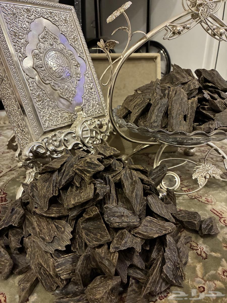 Clement Mohsin Incense Filter - Only 70 SAR per Ounce64423877688705110