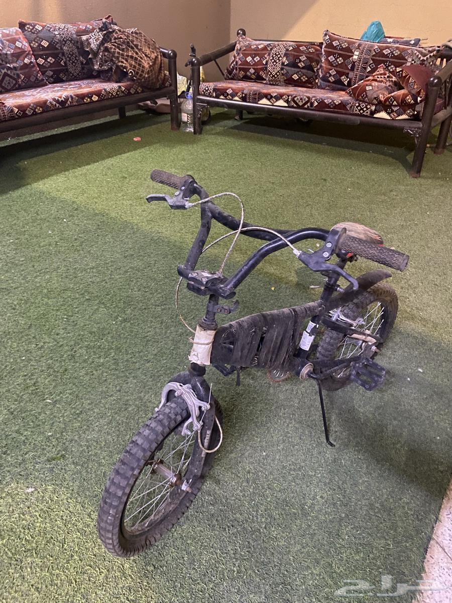 سيكل كوبرا اسود ب احمر64424388443649110