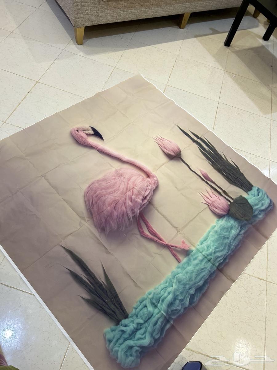 اغراض تصوير مواليد واكسسوار64424199147905114