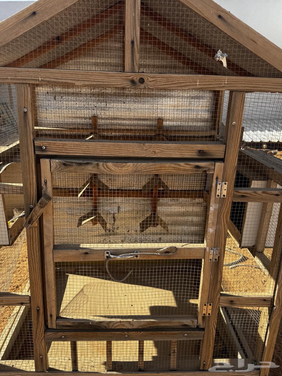 قفص خشب للأرانب والدجاج64423038135553110