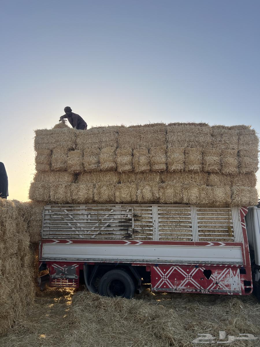 تبن بر صافي ناعم64419278513282112