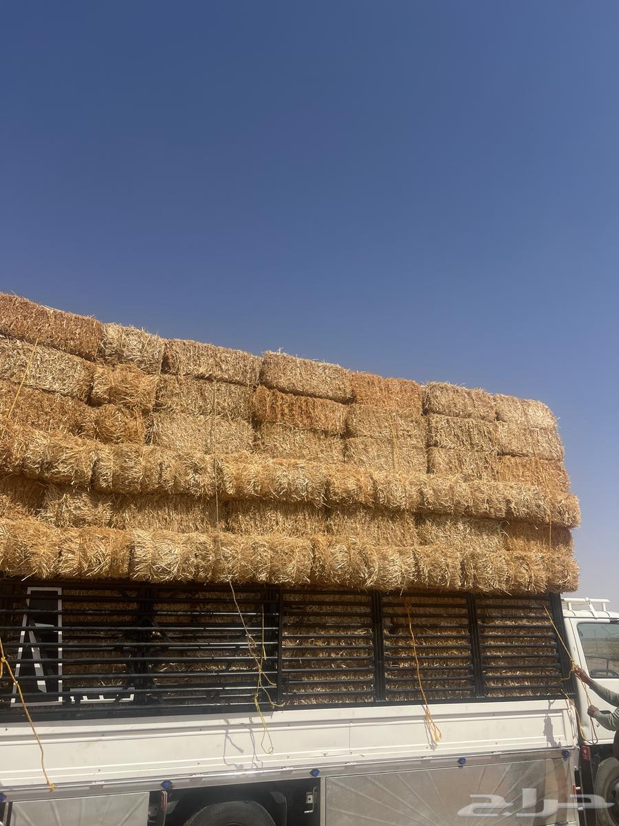 تبن بر64421418649985111