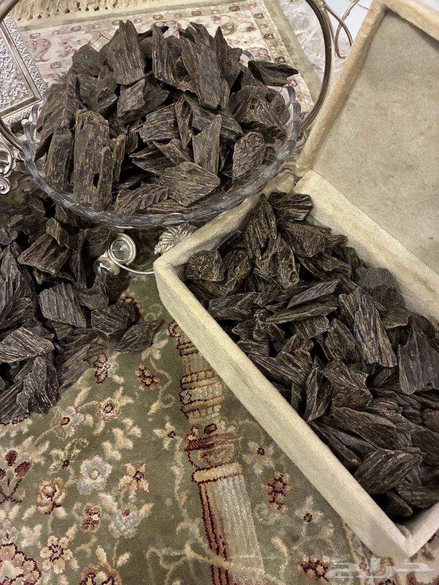 Clement Mohsin Incense Filter - Only 70 SAR per Ounce64423877688705111