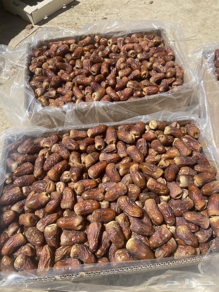 برني العيص64421187975683111