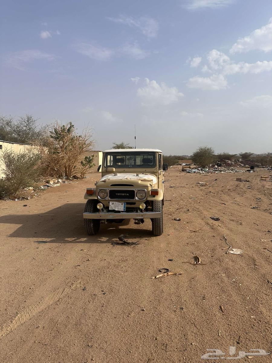 جيب المديل64584911885953110