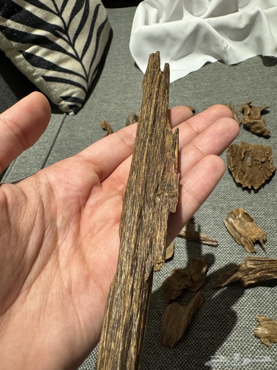 عود كلمنتان مالينو نوادر قديم جدا (السعر صيده) - تم البيع64425999461249111