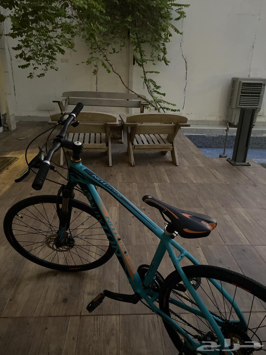 سيكل رياضي64424280048514113