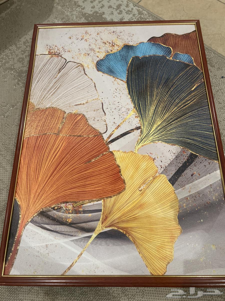 لوحات جدارية بشكل مميز64424388427523110